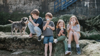 Famille recomposée & assurance vie&nbsp;: un ménage gagnant